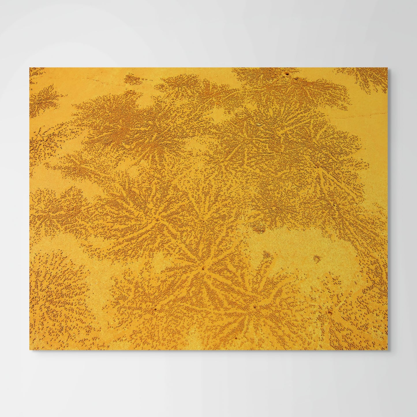 Traces, Orange
