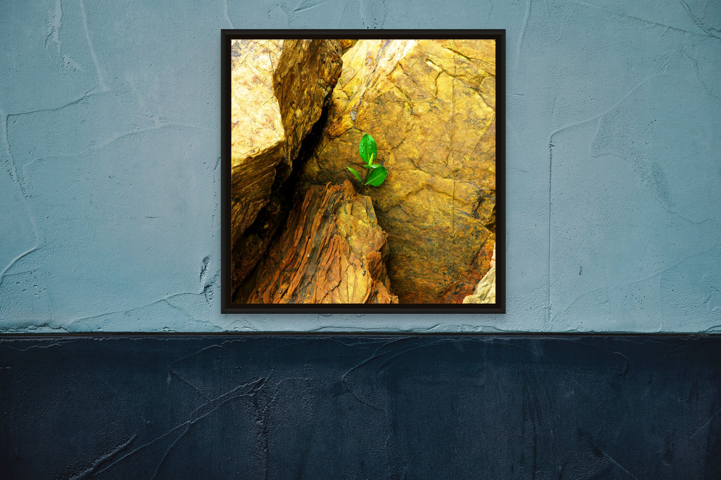 Hope In Rock